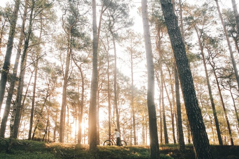 PixelPanda Review 2026: AI Product Photography for E-commerce